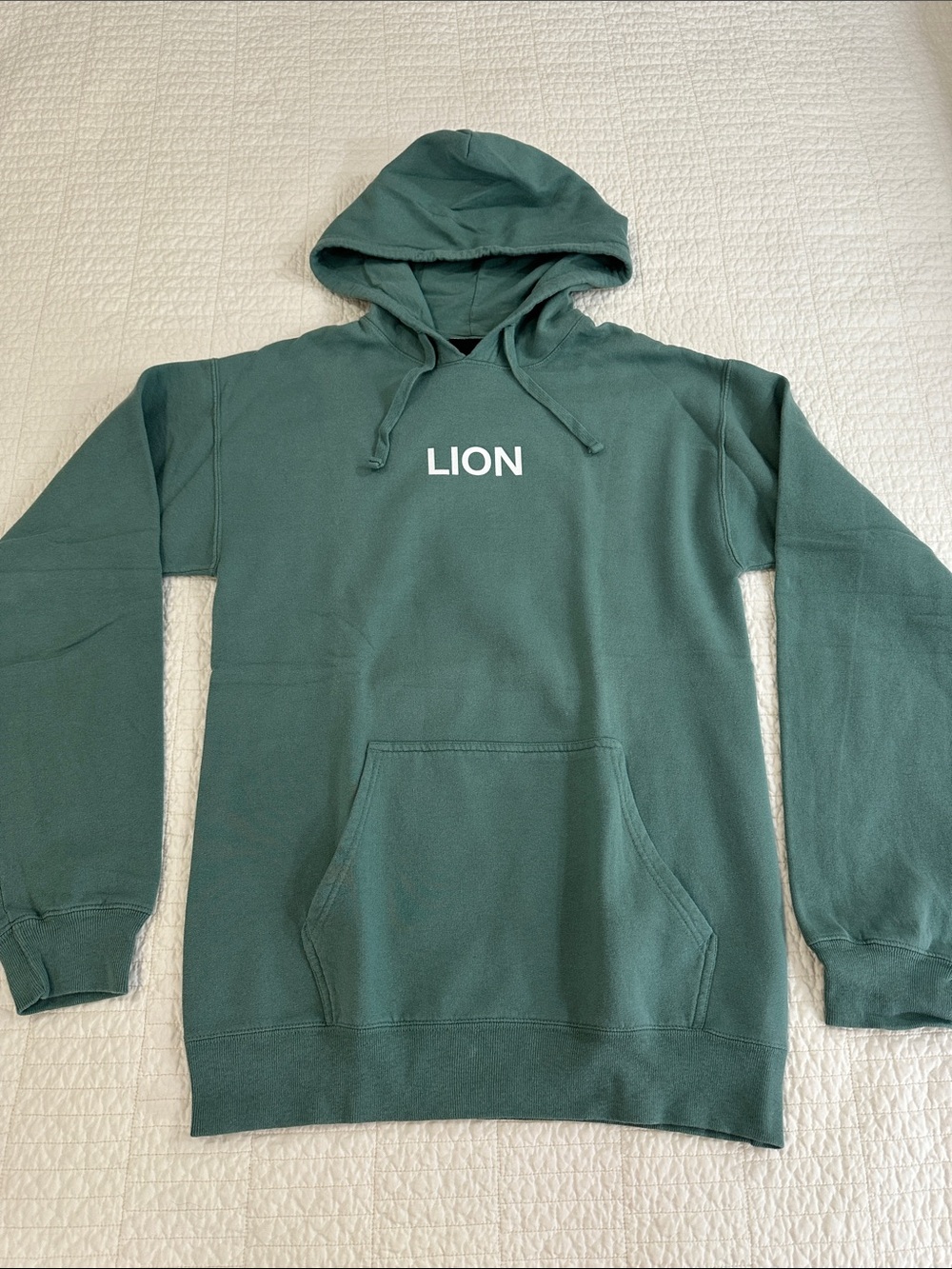 Elevation Worship Small Lion Lamb Hoodie EUC Sage Green
